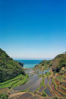 浜野浦の棚田展望台 浜野浦の棚田展望台の写真