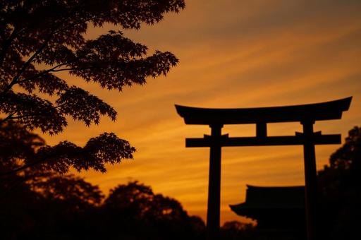 紅葉と鳥居のシルエット 紅葉と鳥居のシルエットの写真
