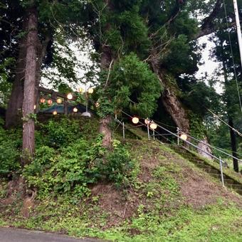 森の中の石段と灯る提灯 森の中の石段と灯る提灯 森,自然,提灯の写真素材