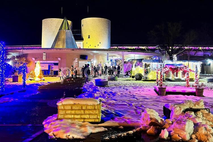 とっとり花回廊　冬のイルミネーション 鳥取,電飾,雪の写真素材