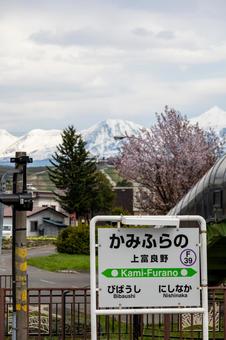 上富良野駅名標とエゾヤマザクラと十勝岳 上富良野駅名標とエゾヤマザクラと十勝岳 jr北海道,富良野線,上富良野駅の写真素材