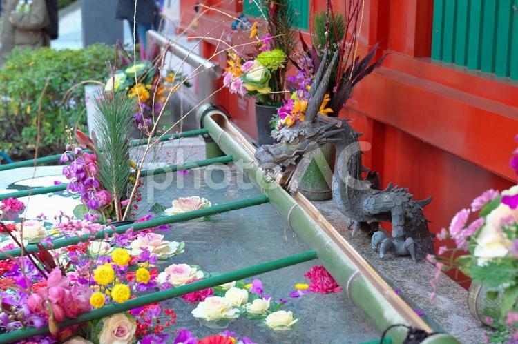 神田明神の花手水４ 神田明神,花手水,はなちょうずの写真素材