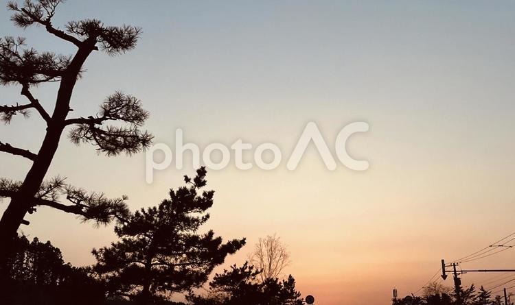 夕焼けとシルエット 自然,夕焼け,木の写真素材