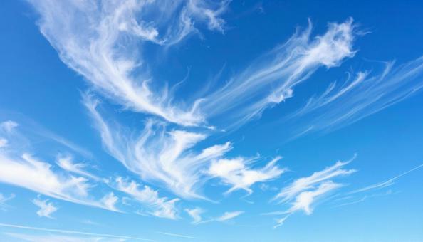 爽やかな青空 薄く白い雲 爽やかな青空 薄く白い雲の写真