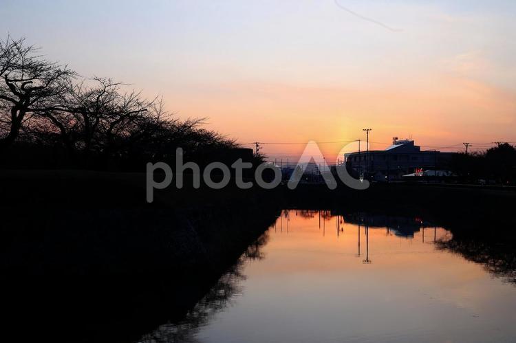 函館五稜郭公園の美しい夕焼け 夕焼け,函館,公園の写真素材