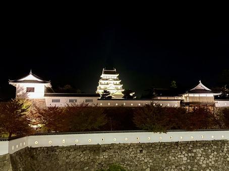 夜の福山城 福山城,福山,城の写真素材