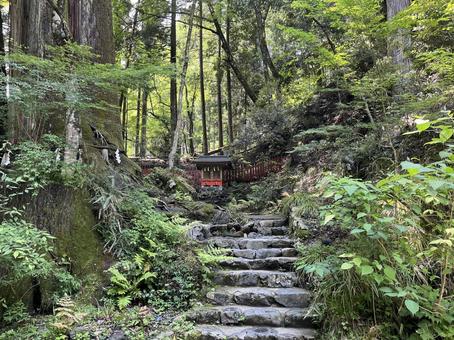 貴船神社 貴船,神社,京都の写真素材