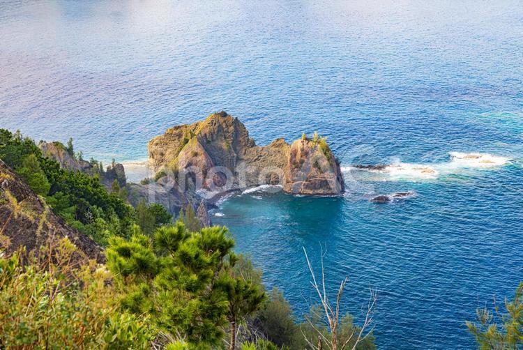 小笠原諸島・父島　旭山山頂から望む絶景 父島,小笠原諸島,旭山の写真素材