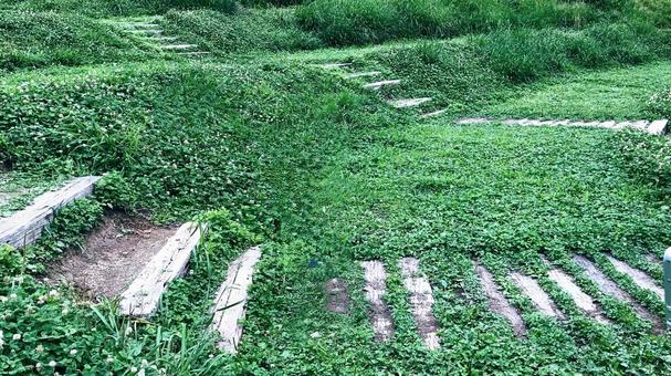 緑の広場 緑の広場 公園,自然,階段の写真素材