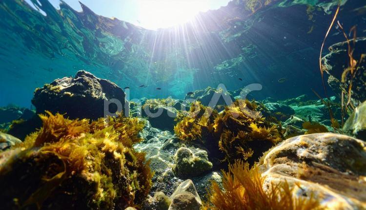 海中から見る岩場の海岸 海,岩場,自然の写真素材