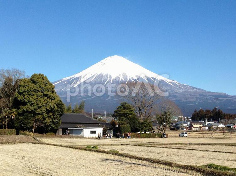 青空に映える冬の富士山（2） 静岡の富士山,冬の富士,雪の富士山の写真素材