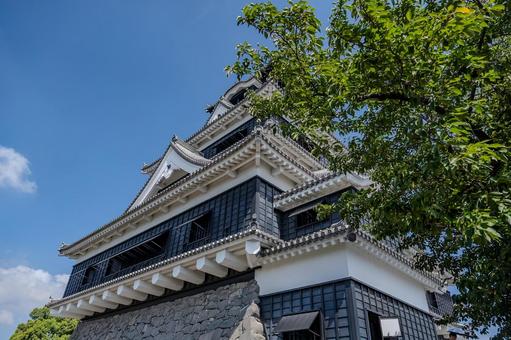 熊本城周辺の景色 熊本城周辺の景色 熊本城,天守閣,castleの写真素材