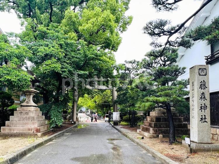 藤森神社 藤森神社,南門,入口の写真素材