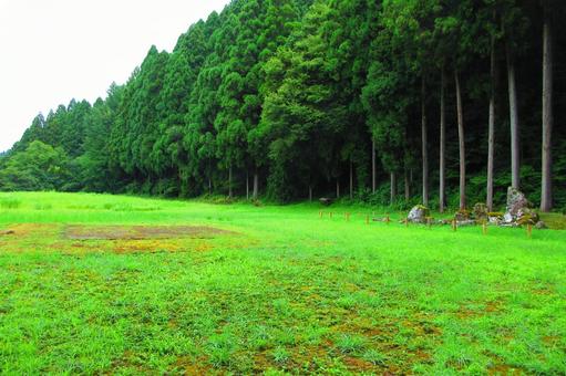 福井県-一乗谷朝倉氏遺跡-南陽寺跡 福井県-一乗谷朝倉氏遺跡-南陽寺跡 一乗谷,朝倉氏遺跡,南陽寺跡の写真素材