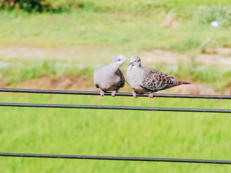 そっと目を閉じてごらん そっと目を閉じてごらんの写真