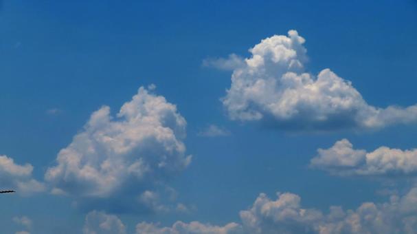 雲<見ていて楽しくなる> 雲<見ていて楽しくなる>の写真