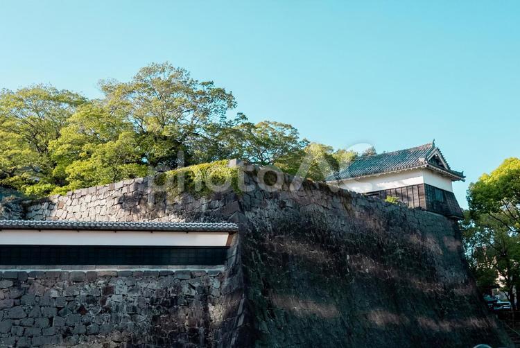 【熊本】熊本城前 熊本,熊本城,城の写真素材