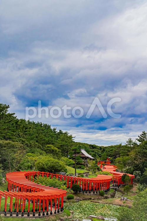 青森県　高山稲荷神社 青森,青森県,観光の写真素材