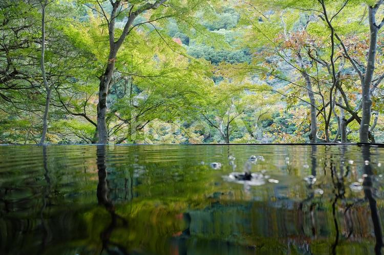 水しぶきと緑 風景,自然,日本の写真素材