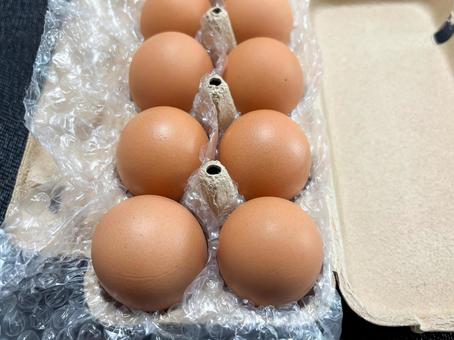 鶏卵 卵,鶏卵,赤玉の写真素材