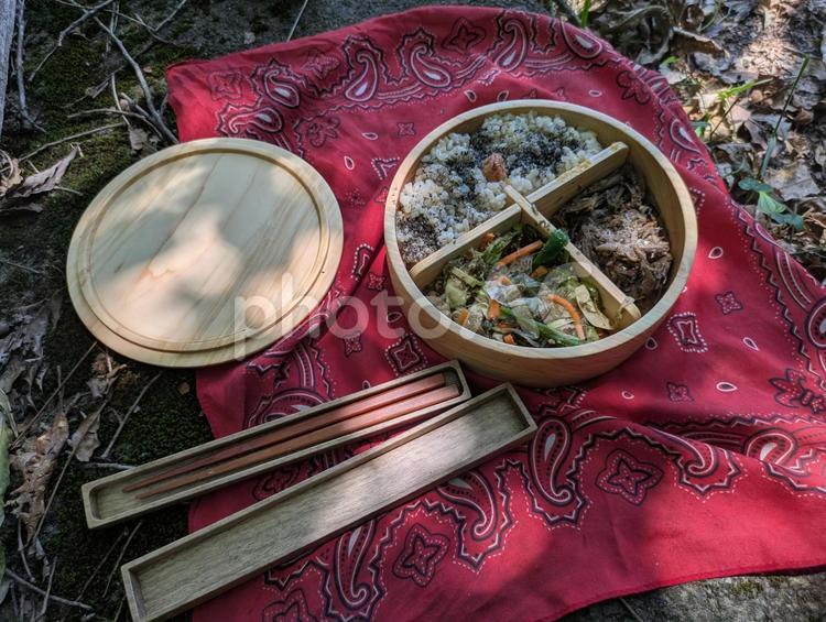 私のお弁当、一式手つくり 木漏れ日,初夏,お弁当の写真素材