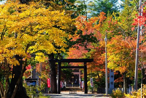 神社と紅葉の写真