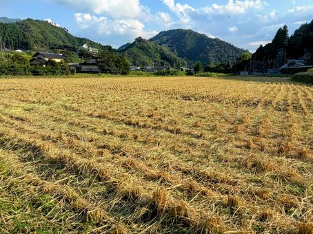 稲刈りした後の田んぼ 稲刈りした後の田んぼの写真