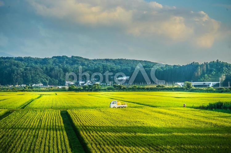青森の田園風景 青森,田園,田んぼの写真素材