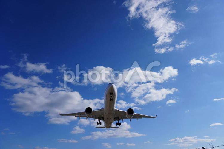 千里川土手から見た飛行機 ジェット機,旅客機,飛行機の写真素材