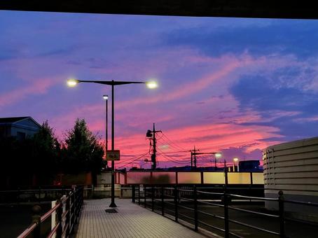 鮮やかな発色の夕焼け空 鮮やかな発色の夕焼け空 夕焼け,マジックアワー,空の写真素材