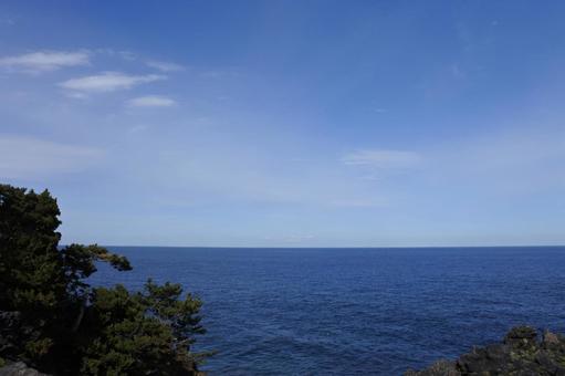 城ケ崎海岸 城ケ崎海岸の写真