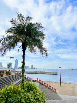 海遊館西はとばからの風景の写真