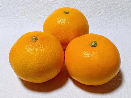 みかん みかん,果実,柑橘類の写真素材