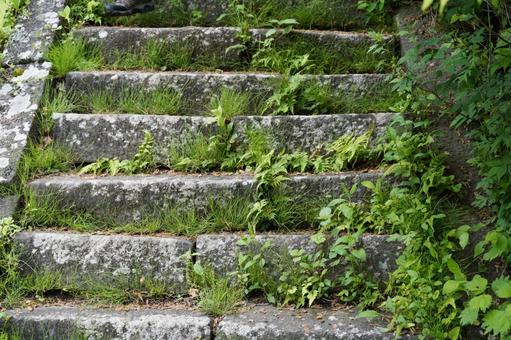 階段 望月町,神社,苔の写真素材