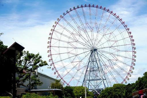 葛西臨海公園ダイヤと花の大観覧車 葛西臨海公園ダイヤと花の大観覧車の写真