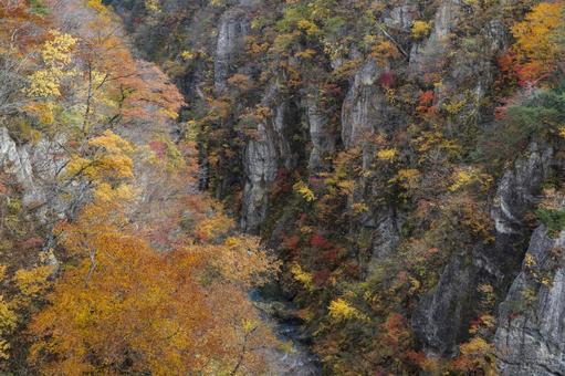 秋の鳴子峡 鳴子峡,紅葉,崖の写真素材