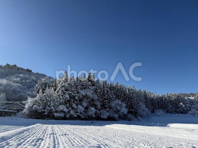 雪国の冬の田園風景　雪で白い田んぼ 雪国,田園風景,水田の写真素材