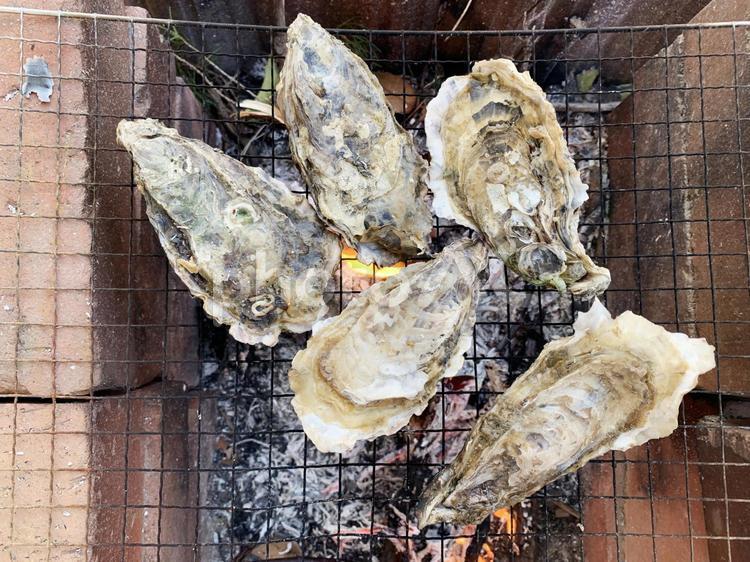 牡蠣焼き 牡蠣,カキ,貝の写真素材