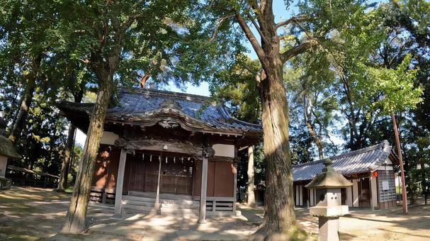 埼玉県行田市行田　 春日神社 拝殿 埼玉,行田市行田,春日神社の写真素材