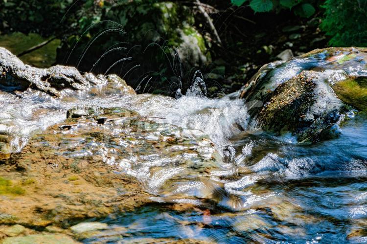 激しく流れる小川の水流 自然,風景,水の写真素材