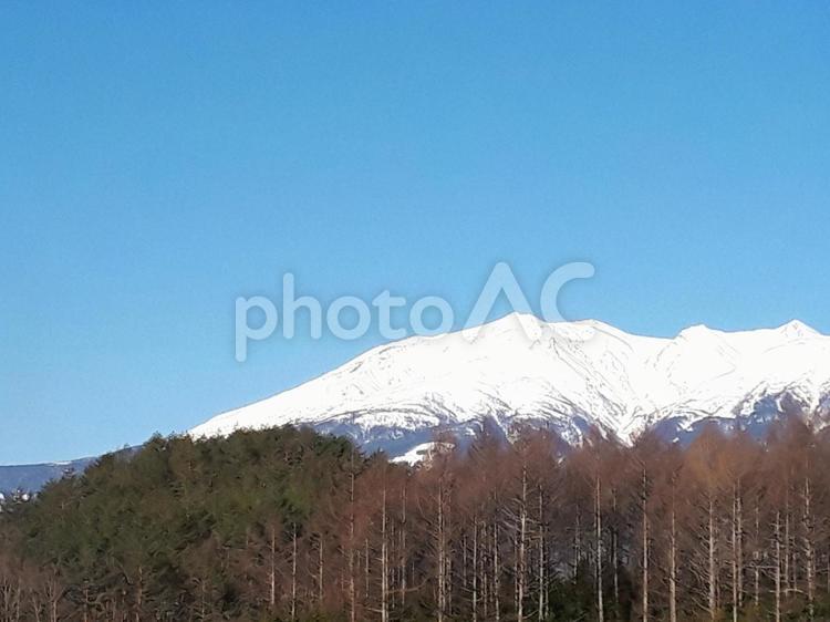 御嶽山の雪景色・信州から撮影 雪,山,風景の写真素材