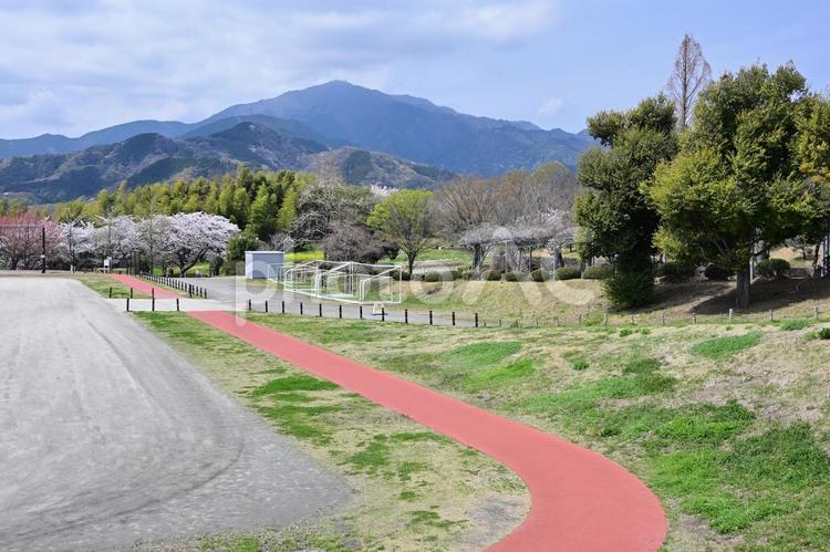大山 大山,伊勢原,神奈川の写真素材