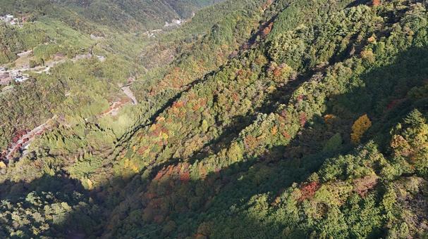 山紅葉011 山,紅葉,山紅葉の写真素材