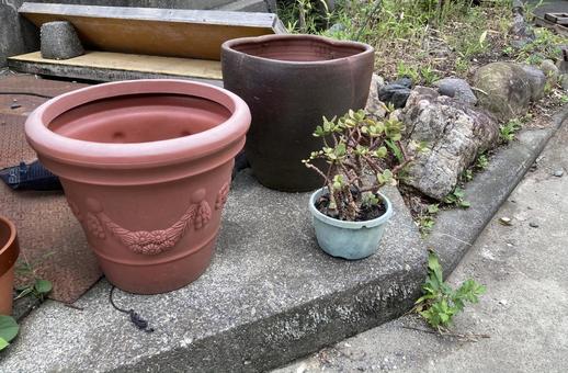 庭の鉢 庭の鉢 鉢,コンクリート,土の写真素材