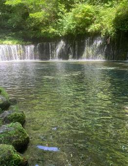 白糸の滝 白糸の滝の写真