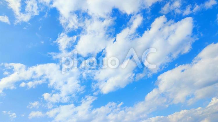風に流れる白い雲と青空 青空,空,コピースペースの写真素材