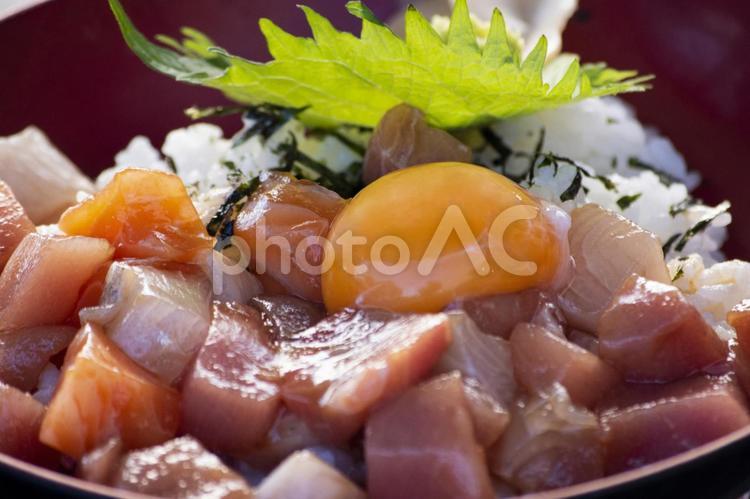 海鮮丼アップ卵 ランチ,和食,海鮮丼の写真素材