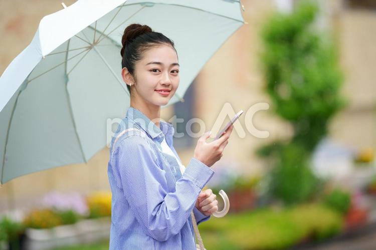 薄い緑色の傘を差してスマートフォンを使っている女性 女性,雨,日本人の写真素材