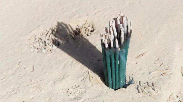 日泰寺　境内の風景　お線香 日泰寺,覚王山,日本の写真素材