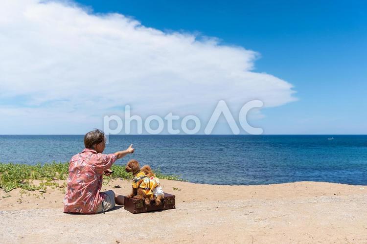 海と男性とトイプードル トイプードル,トイプー,海の写真素材